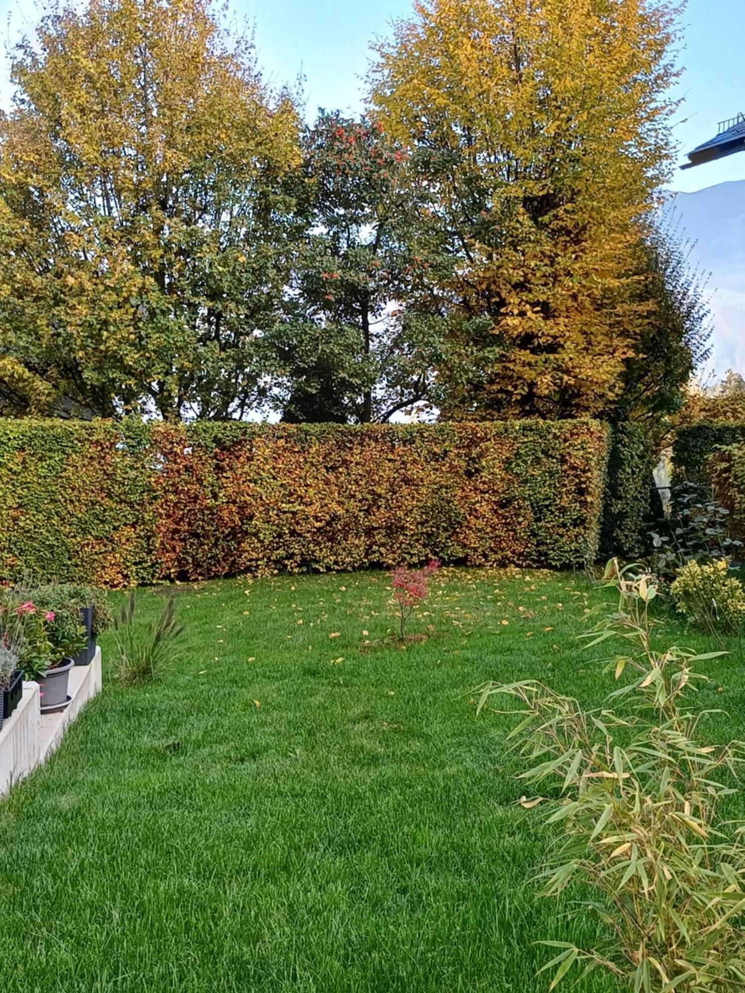 Ferienwohnung Claudia Mit Terrasse Nussdorf am Attersee Exterior foto